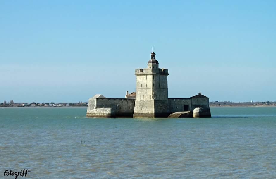 Le Clos Des Oiseaux Saintes Exterior photo